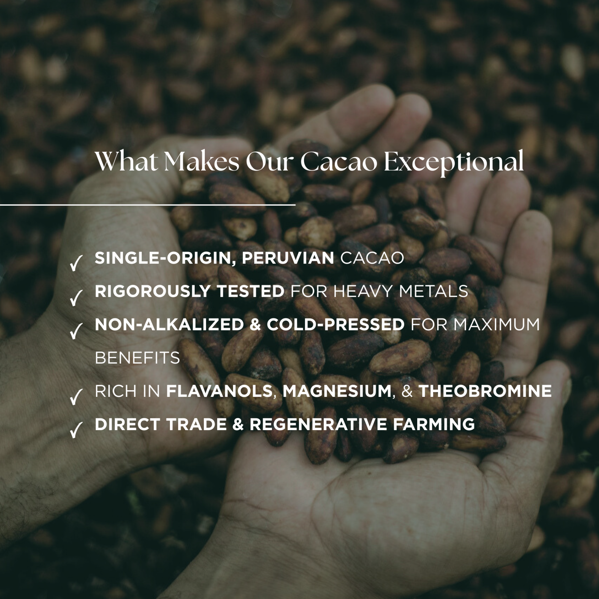 KUYU Cacao Superfood Blend